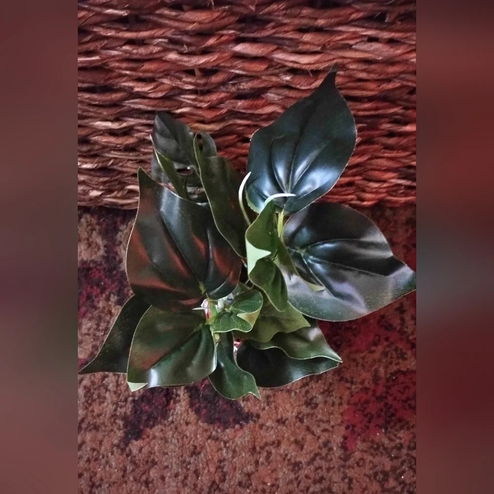 Aquarium Decor